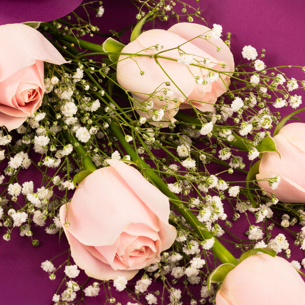Farmerr Pink Rose Bouquet