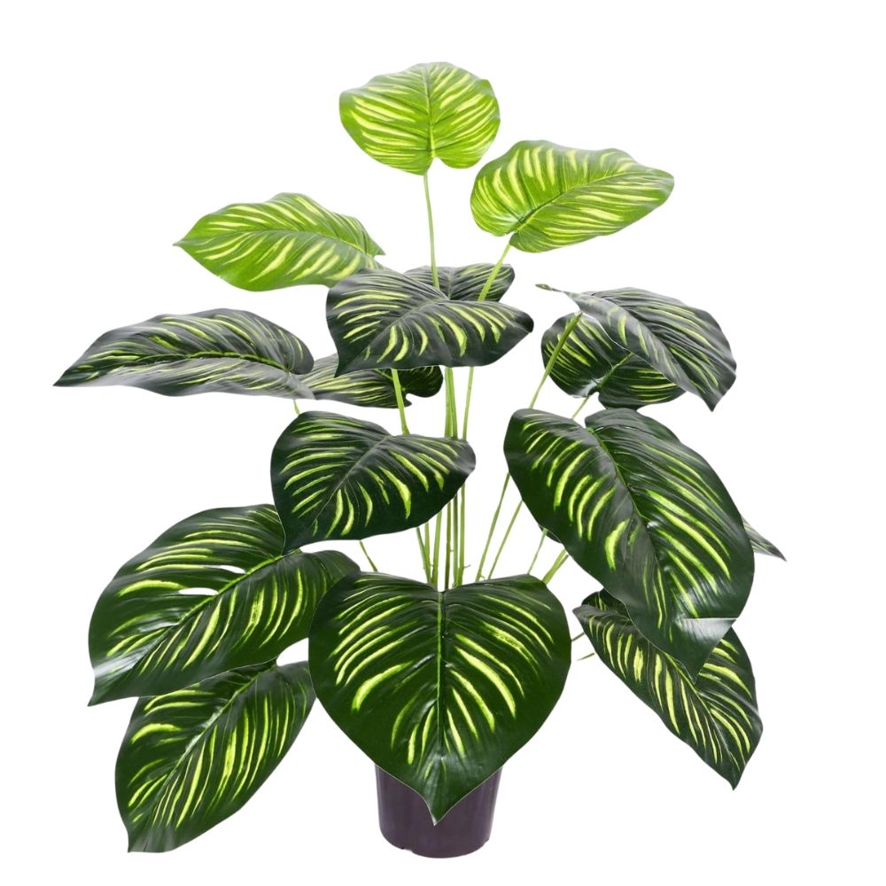 Go Hooked Artificial Plant with complimentary Nursery Pot Dual Shade Leaves Artificial 12 Leaves