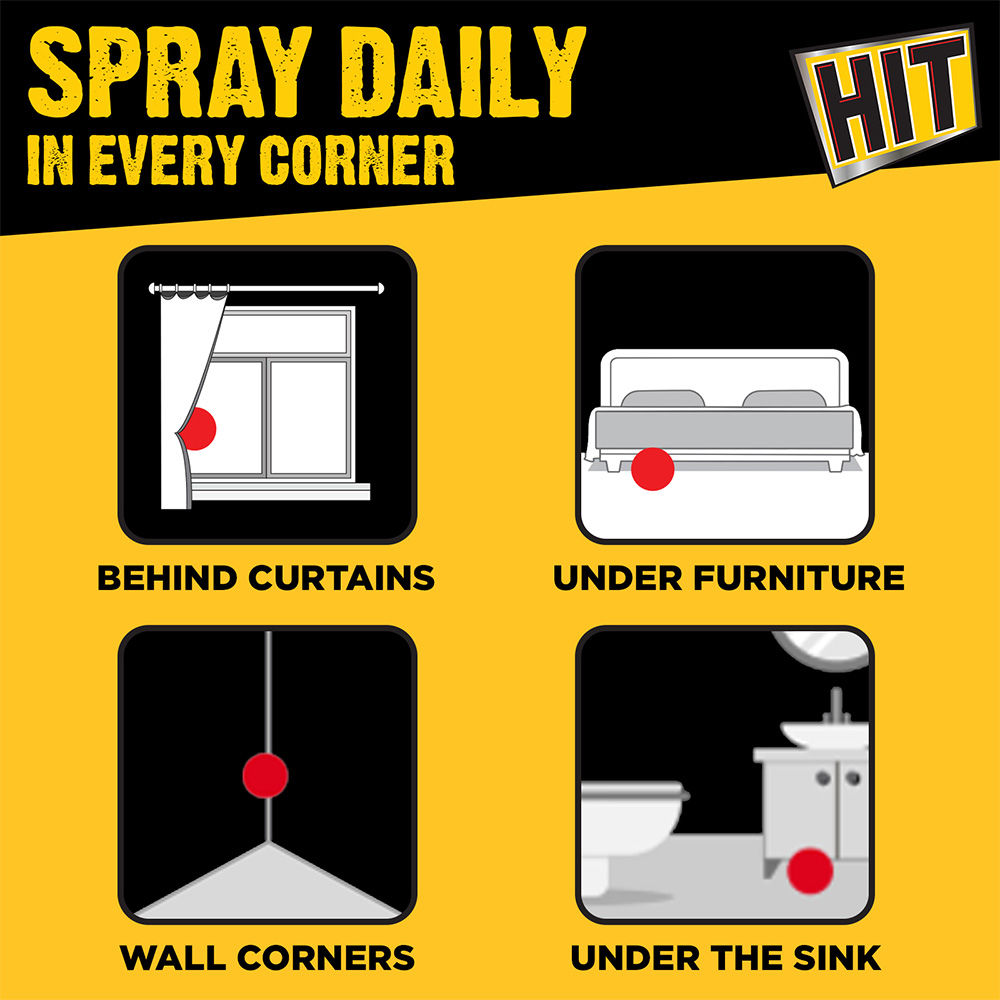 HIT Flying Insect Killer - Mosquito & Fly Killer Spray - Lime Fragrance 400 ml Combo