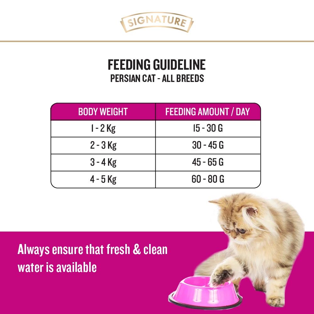 Signature Grain Zero Ocean Fish, Sardine, And Mackerel Persian Dry Cat Food