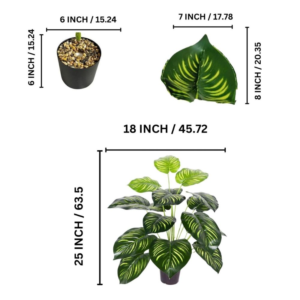 Go Hooked Artificial Plant with complimentary Nursery Pot Dual Shade Leaves Artificial 12 Leaves