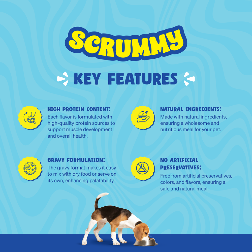 Scrummy Chicken & Egg Dog Wet FOOD 85 g X 3 Combo