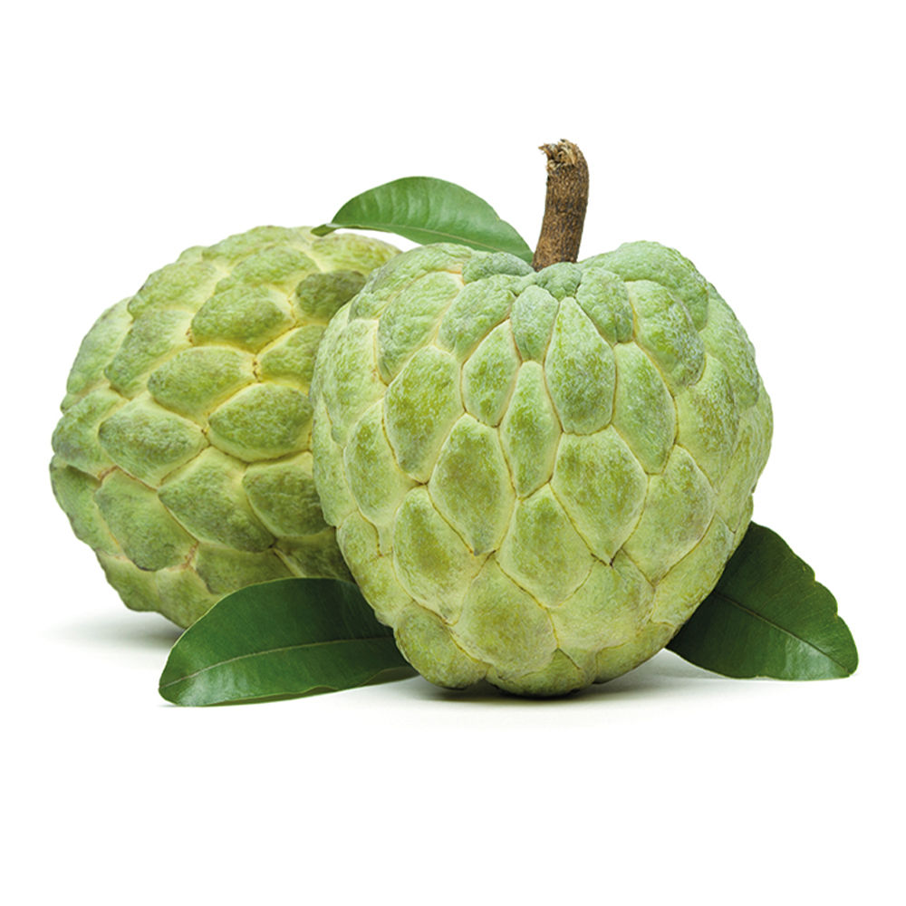 Custard Apple (Sitaphal)