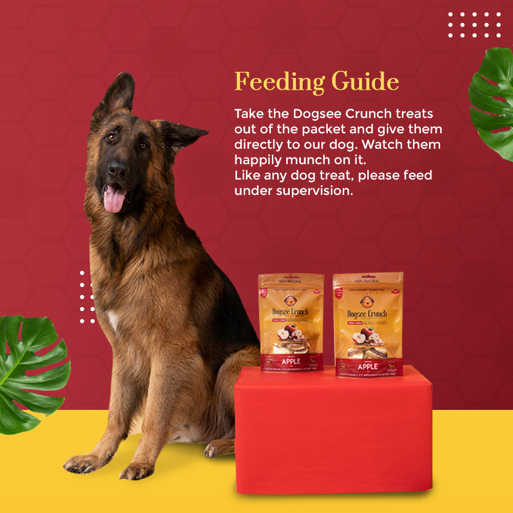 Dogsee Crunch Dried Apple