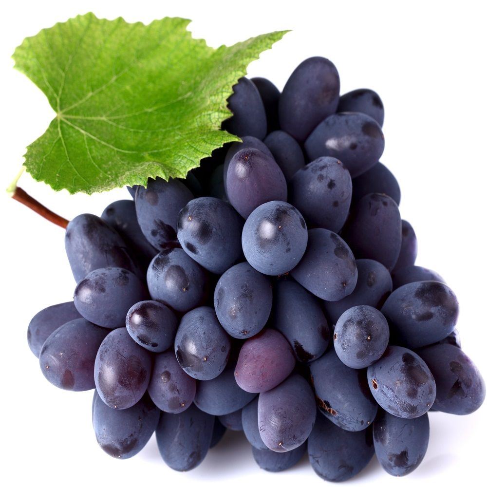 Grapes Bangalore Blue