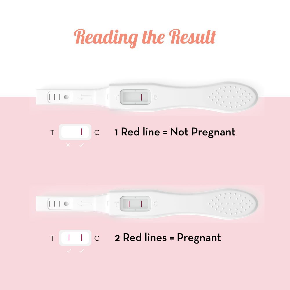 Plush Preg-Oh! Midstream Pregnancy Test Kit Rapid One Step Home Test 99% Accuracy 1 pc Combo