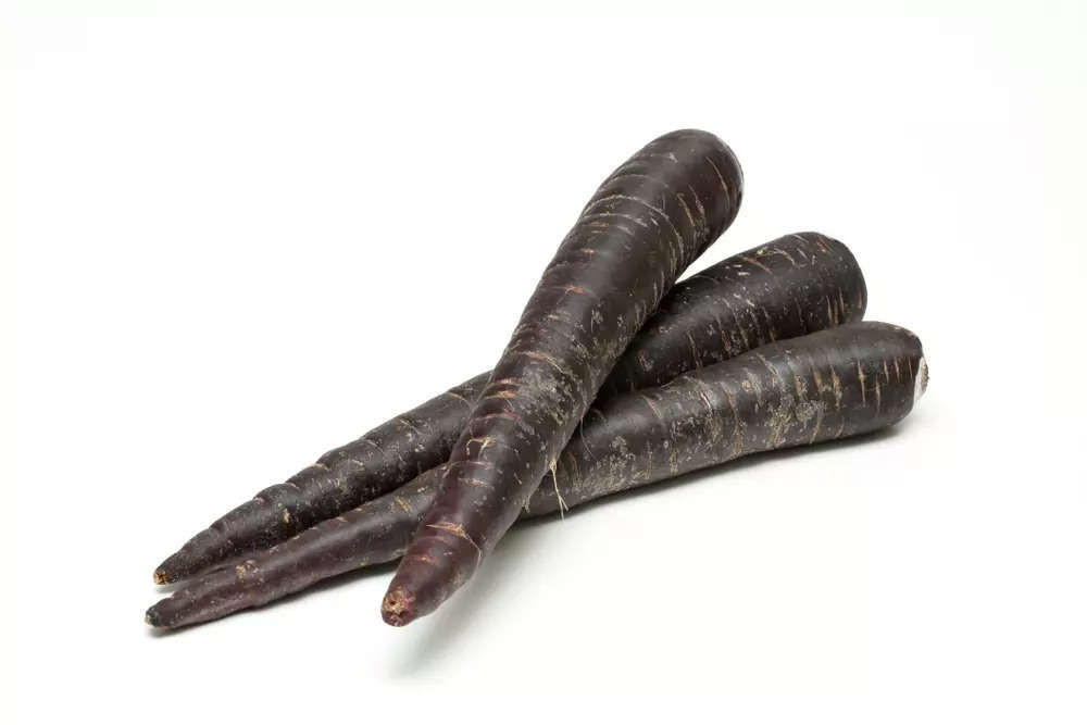 Carrot Black