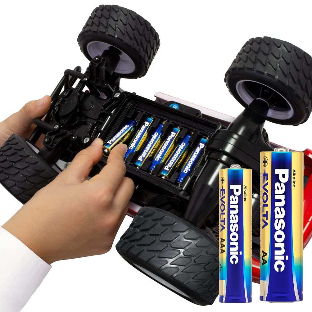 Panasonic Evolta AA Alkaline Battery | Anti-Leak Seal