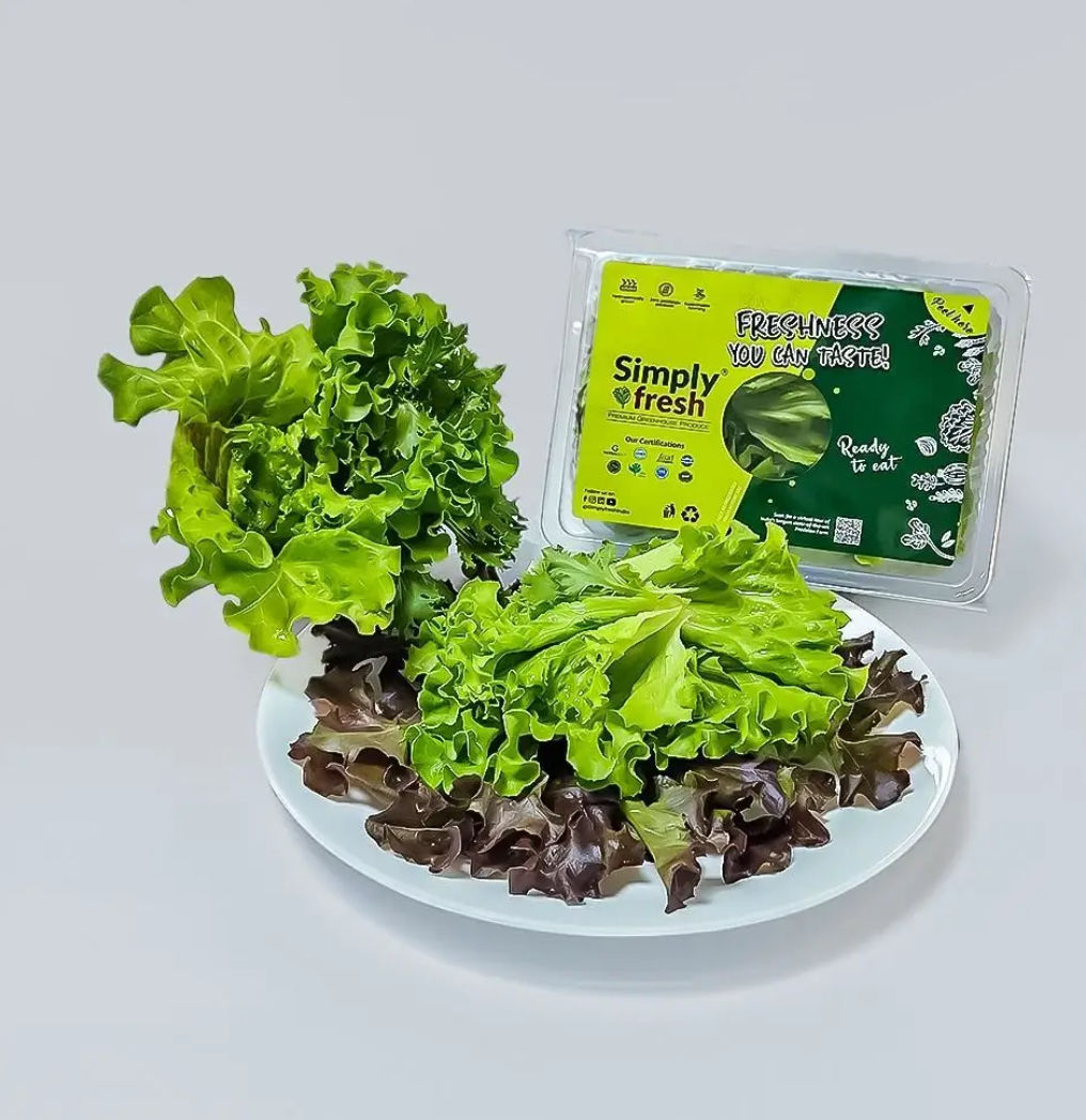 Lettuce Salad Mix