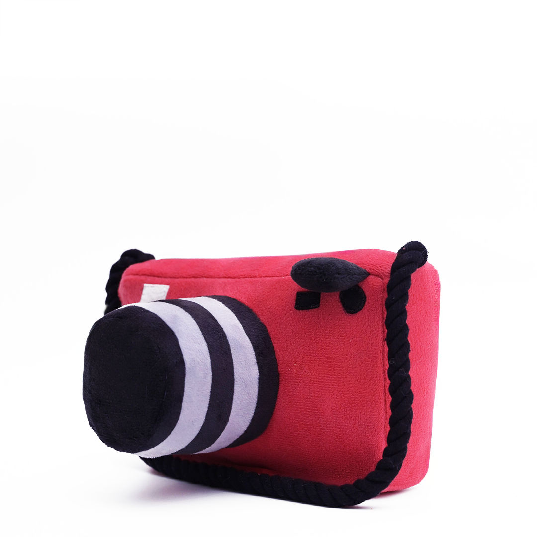 Mutt Of Course Camera Pet Toy