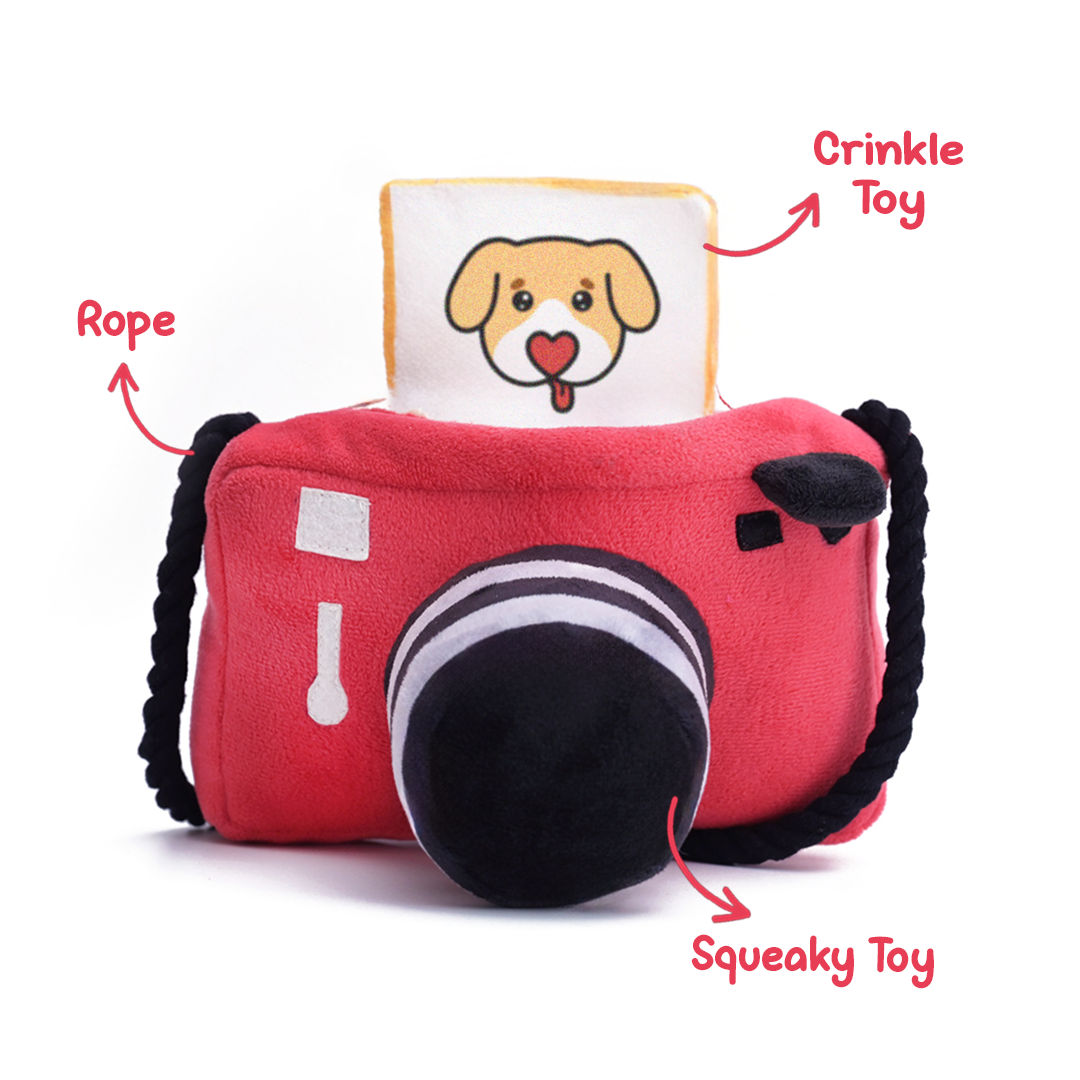 Mutt Of Course Camera Pet Toy