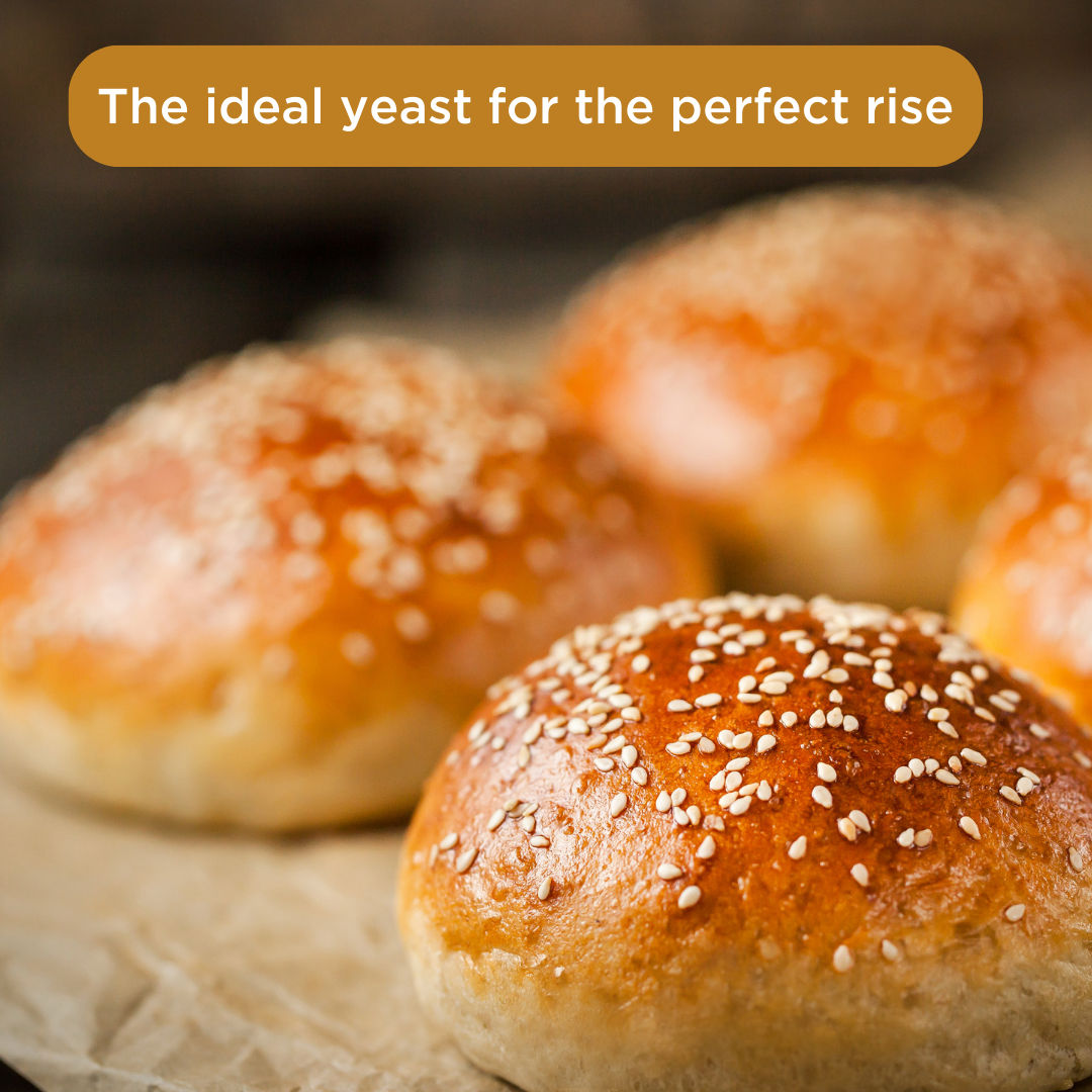 The Select Aisle Instant Dry Yeast 25 g Combo