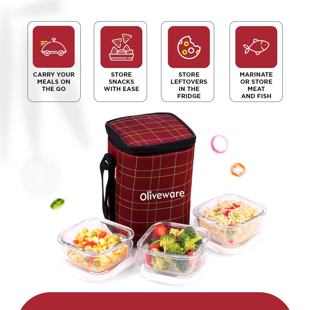 Oliveware Spyker Glassware Square Lunchbox - Red
