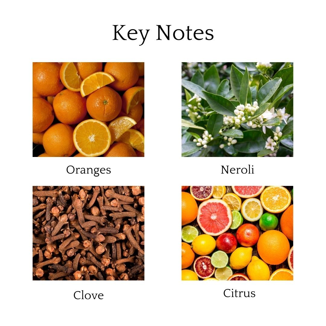 Whipand Wick Orange Spice Wardrobe Freshener Tablet