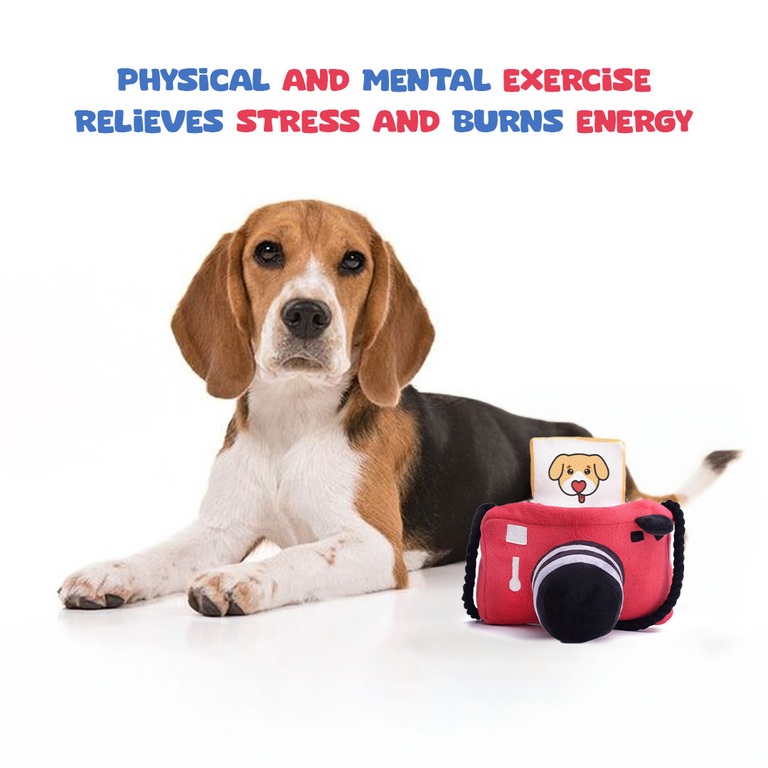 Mutt Of Course Camera Pet Toy