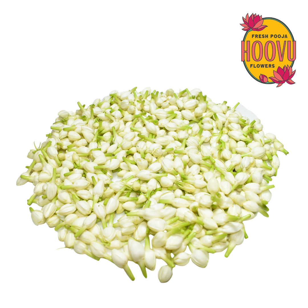 Hoovu Jasmine Flowers