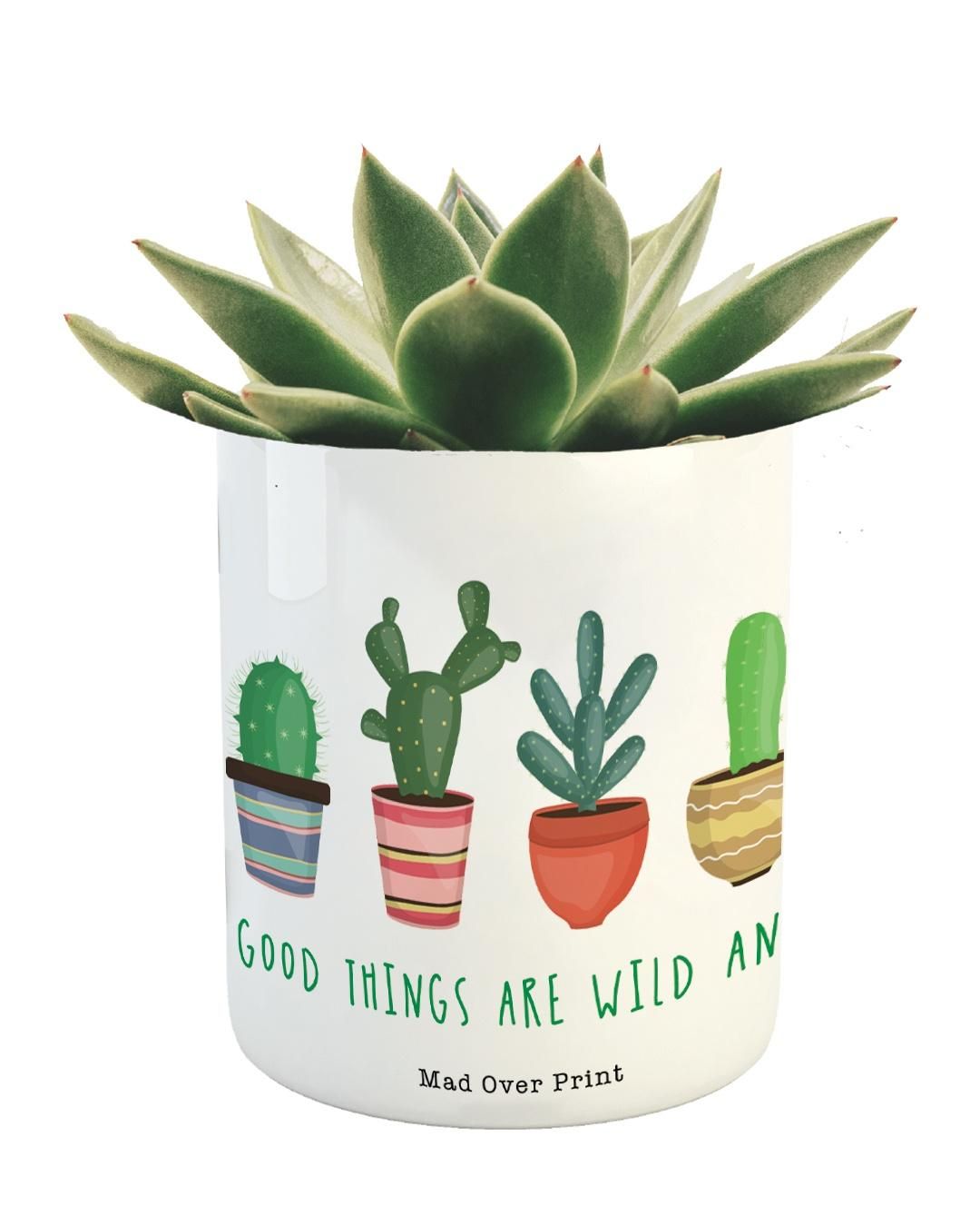 Mad Over Print Cactus Family Planter