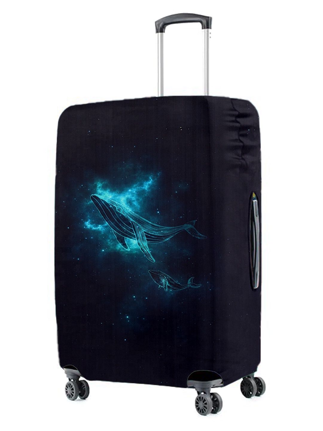 Cortina Elastic Whale Printed Luggage Cover | Blue & Black - M