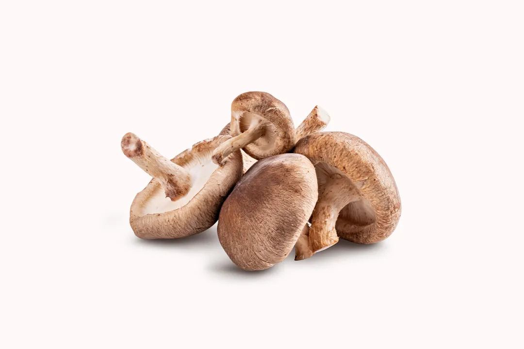 Mushroom Shitake 