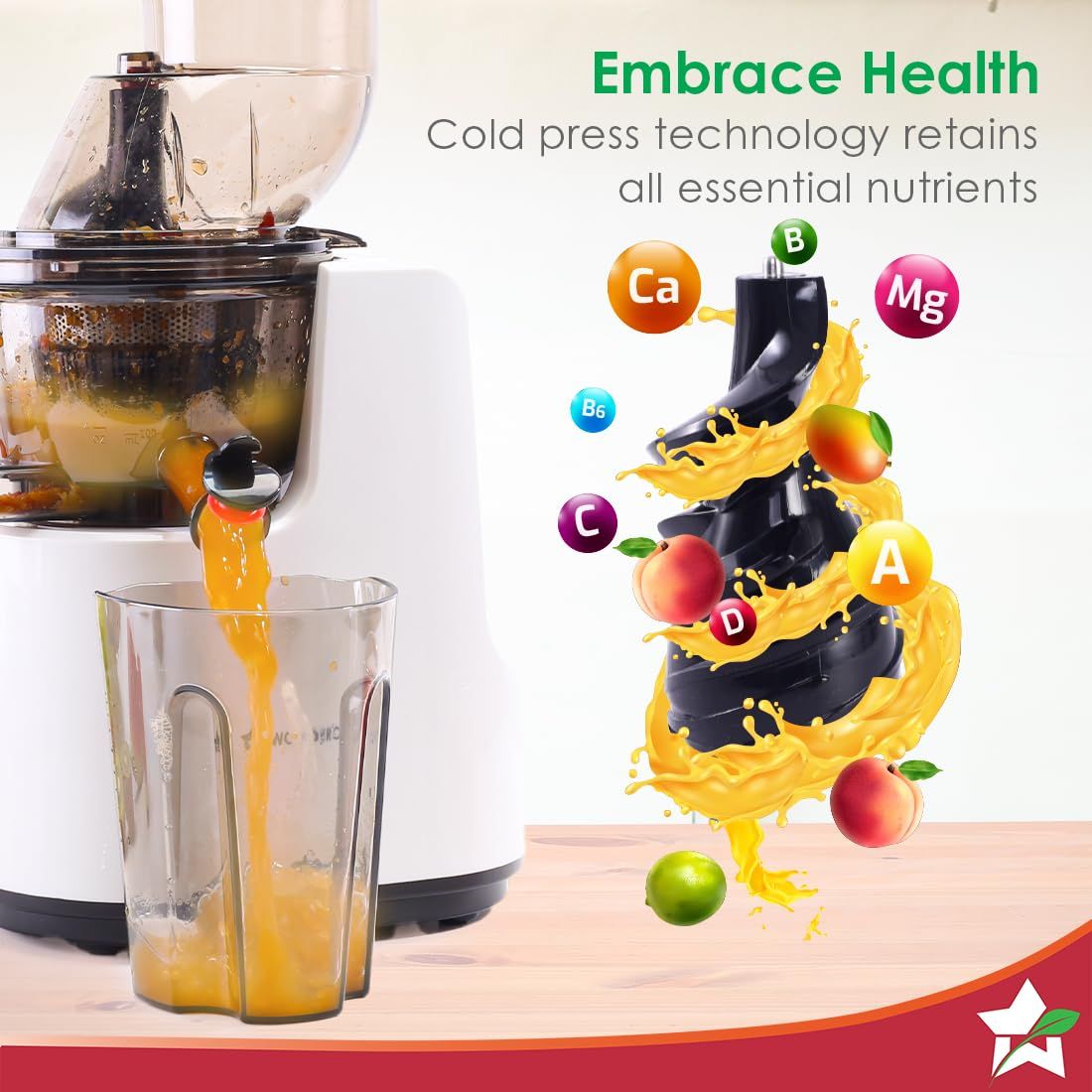 Wonderchef Regenta Full Fruit Cold Press Juicer | 240 W | 2 Jars - White