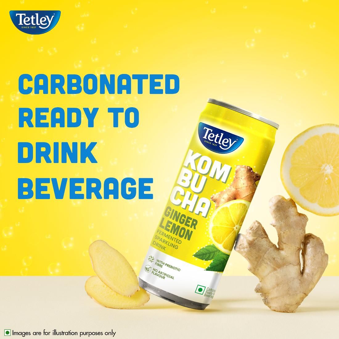 Tetley Ginger Lemon, Fermented Sparkling Drink with Prebiotic Fiber Kombucha