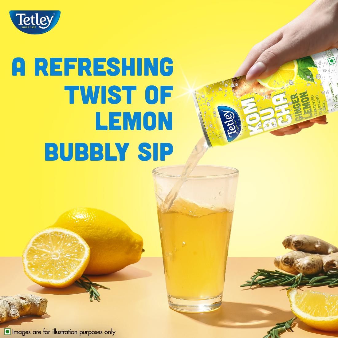 Tetley Ginger Lemon, Fermented Sparkling Drink with Prebiotic Fiber Kombucha
