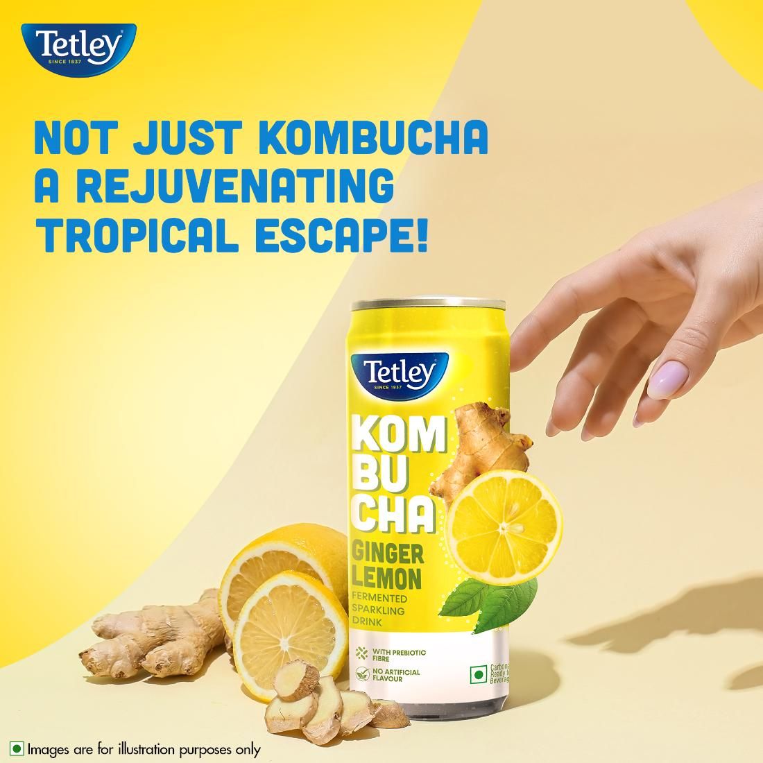 Tetley Ginger Lemon, Fermented Sparkling Drink with Prebiotic Fiber Kombucha