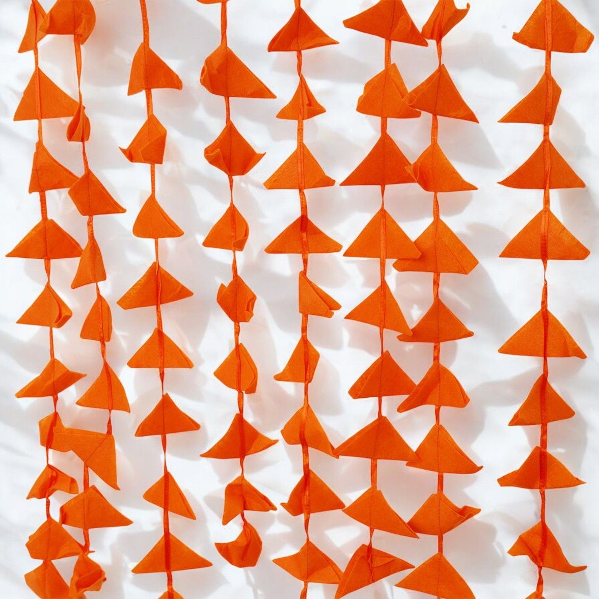 Oye Happy Colour Hanging Pack