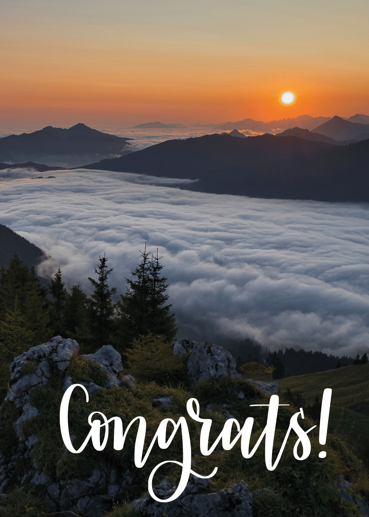 House Of Festivals Congratulations Greeting Card - Design 11