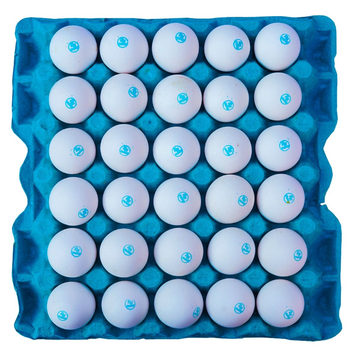 Eggnest 30 Eggs Tray - Herbal Promax O3+
