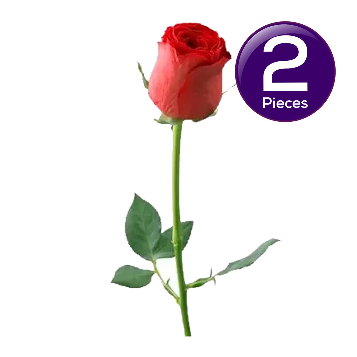 Red Rose 1 pc Combo