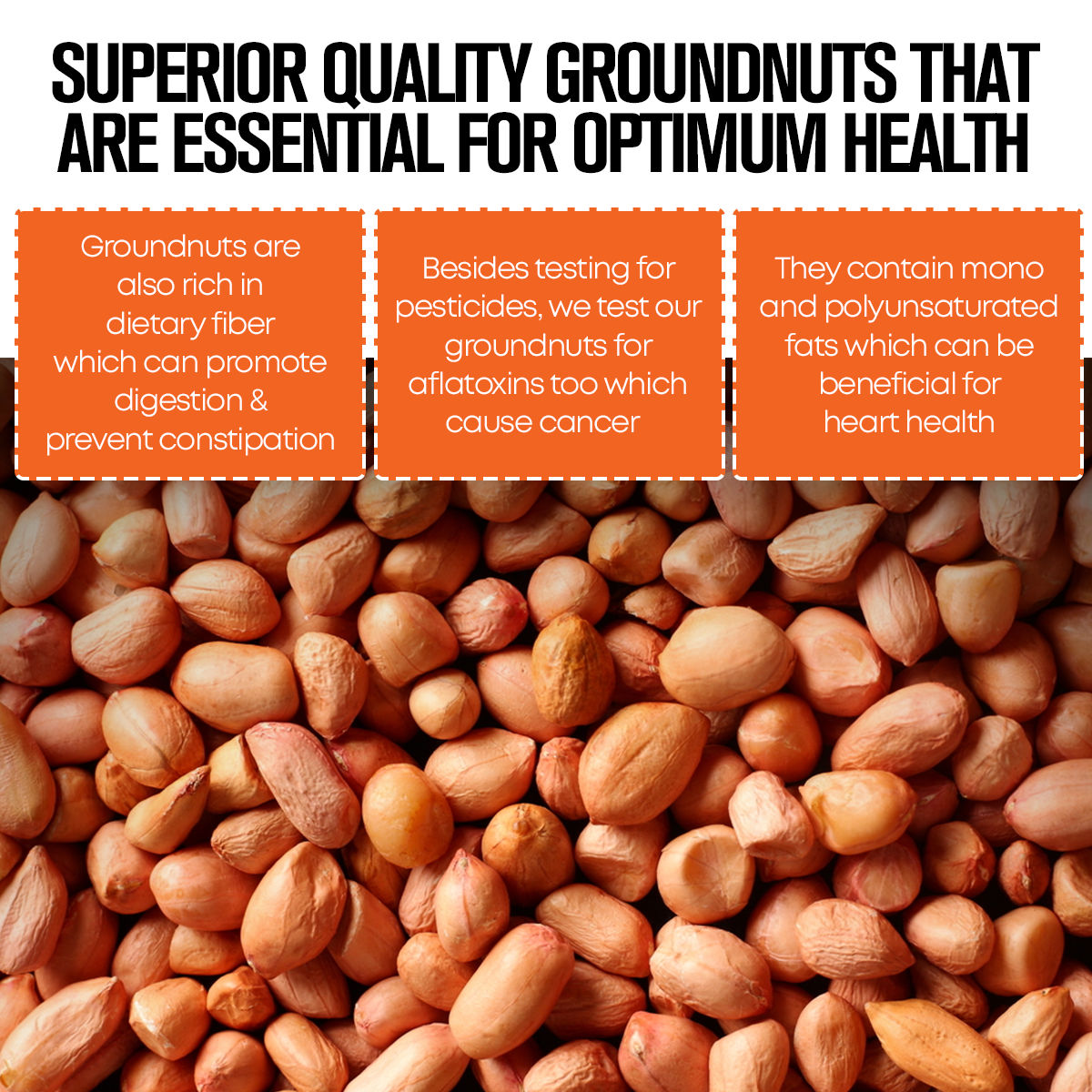 Safe Harvest Pesticide Free Groundnut