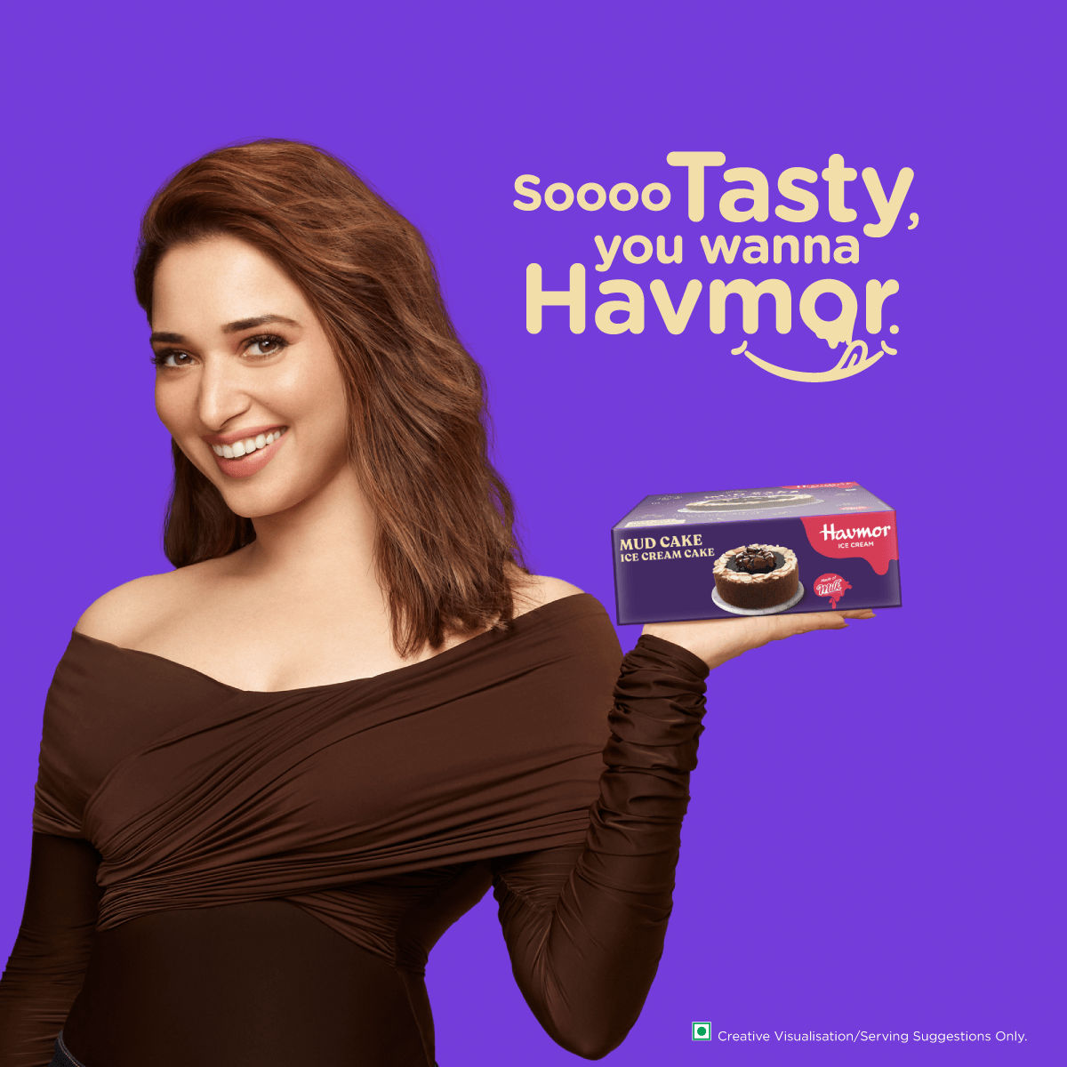 Havmor Mud Cake Ice Cream Cake