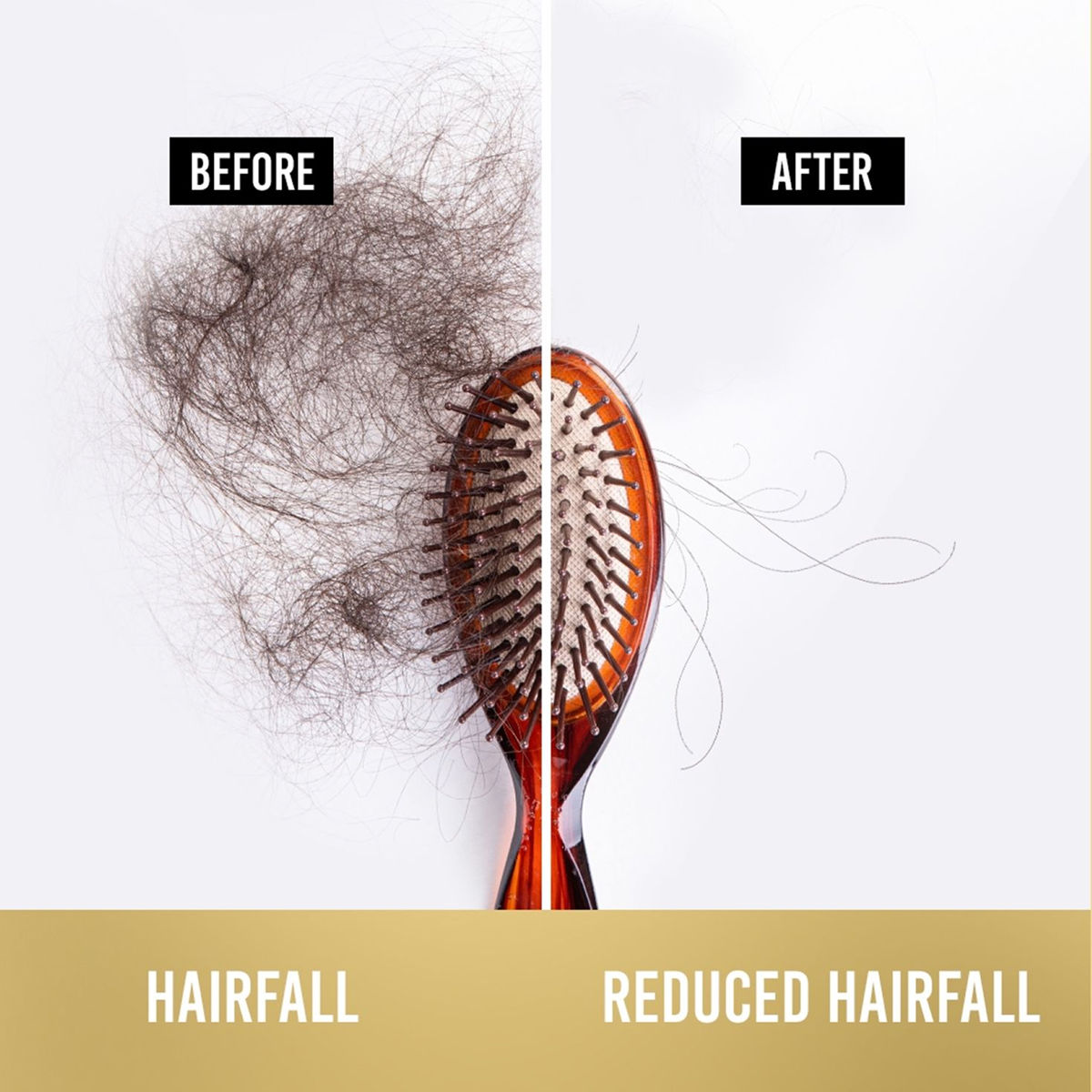 Pantene Hairscience Hairfall Control Shampoo, Lesser Hair Fall With Vitamin B 180 ml Combo
