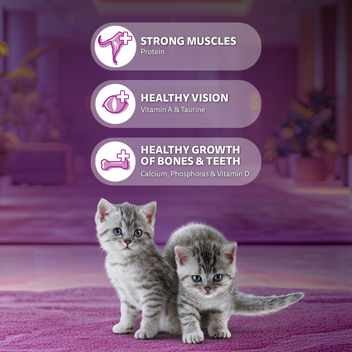Whiskas Kitten Mackerel Flavour Dry Cat Food
