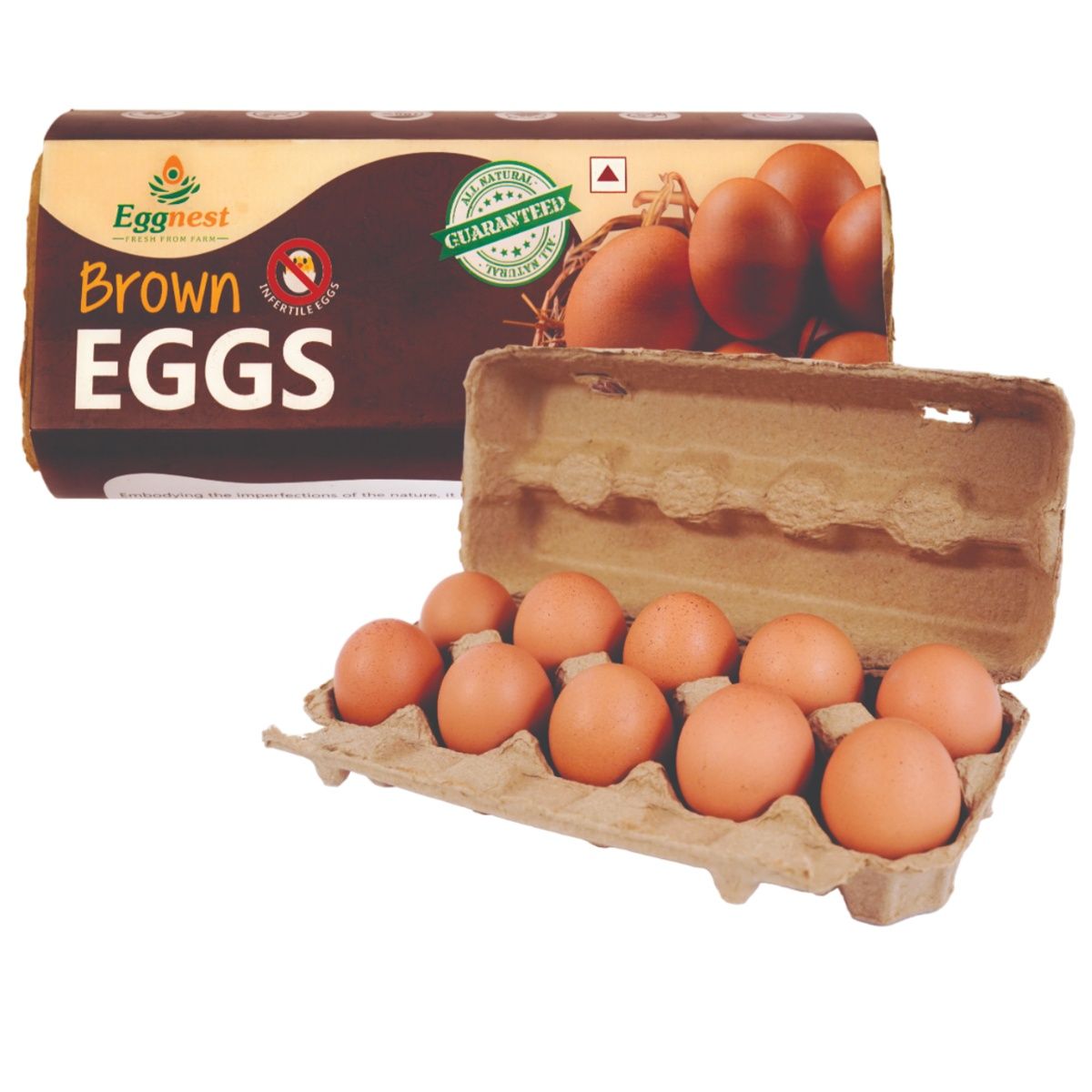 Eggnest 10 Eggs Tray - Brown