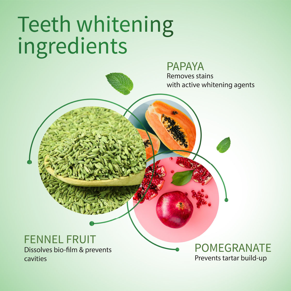Aimil Ayouthveda Natural Whitening Toothpaste