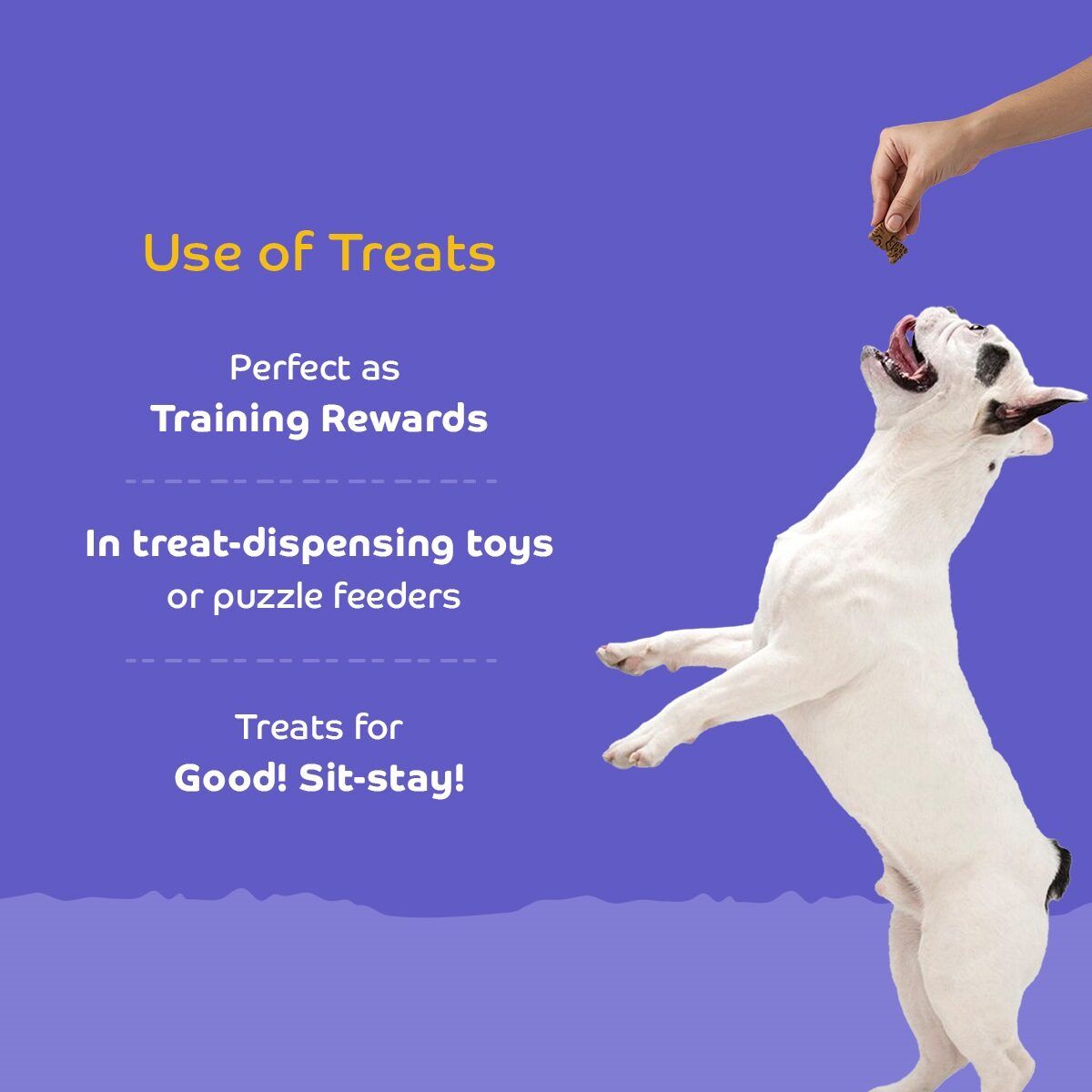 Applod Lamb Dog Biscuit With Ashwagandha