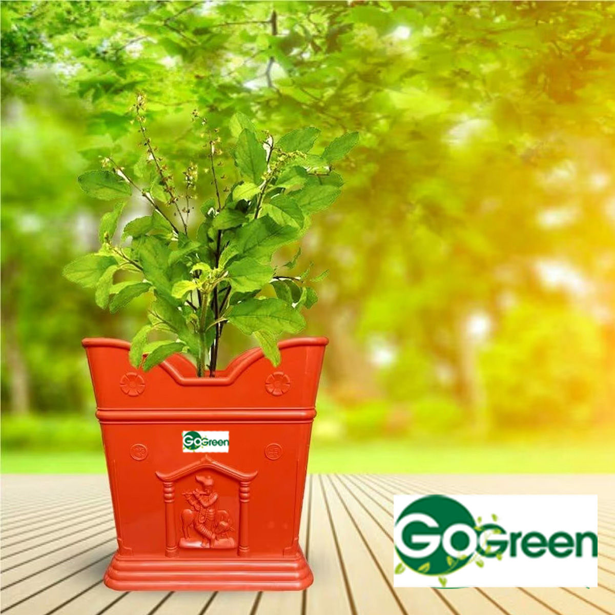 Go Green Tulsi | Small