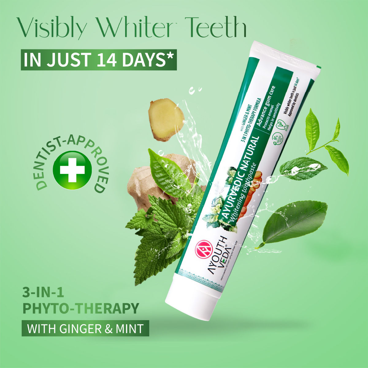 Aimil Ayouthveda Natural Whitening Toothpaste