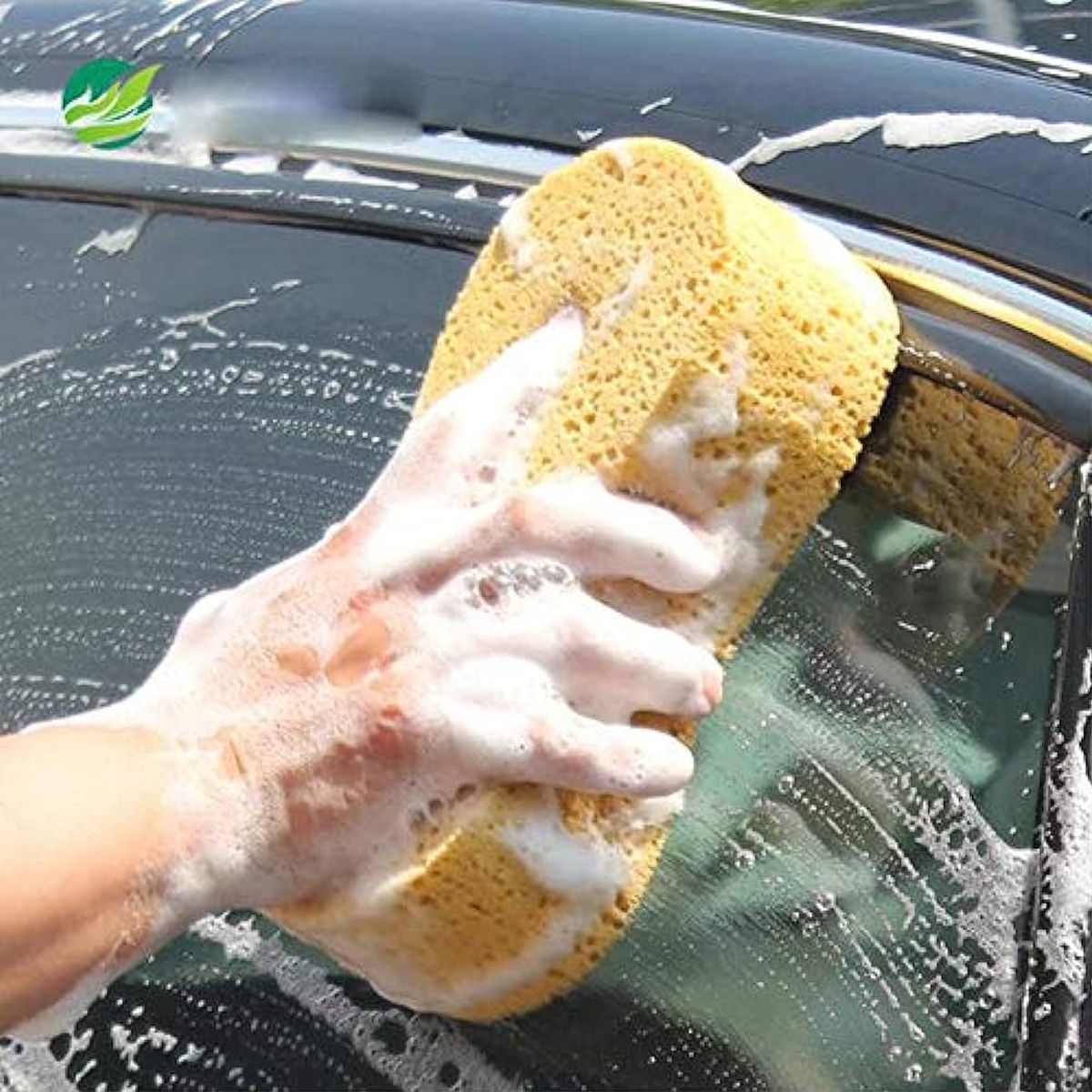Sheen Microfiber Cleaning Sponge - Assorted