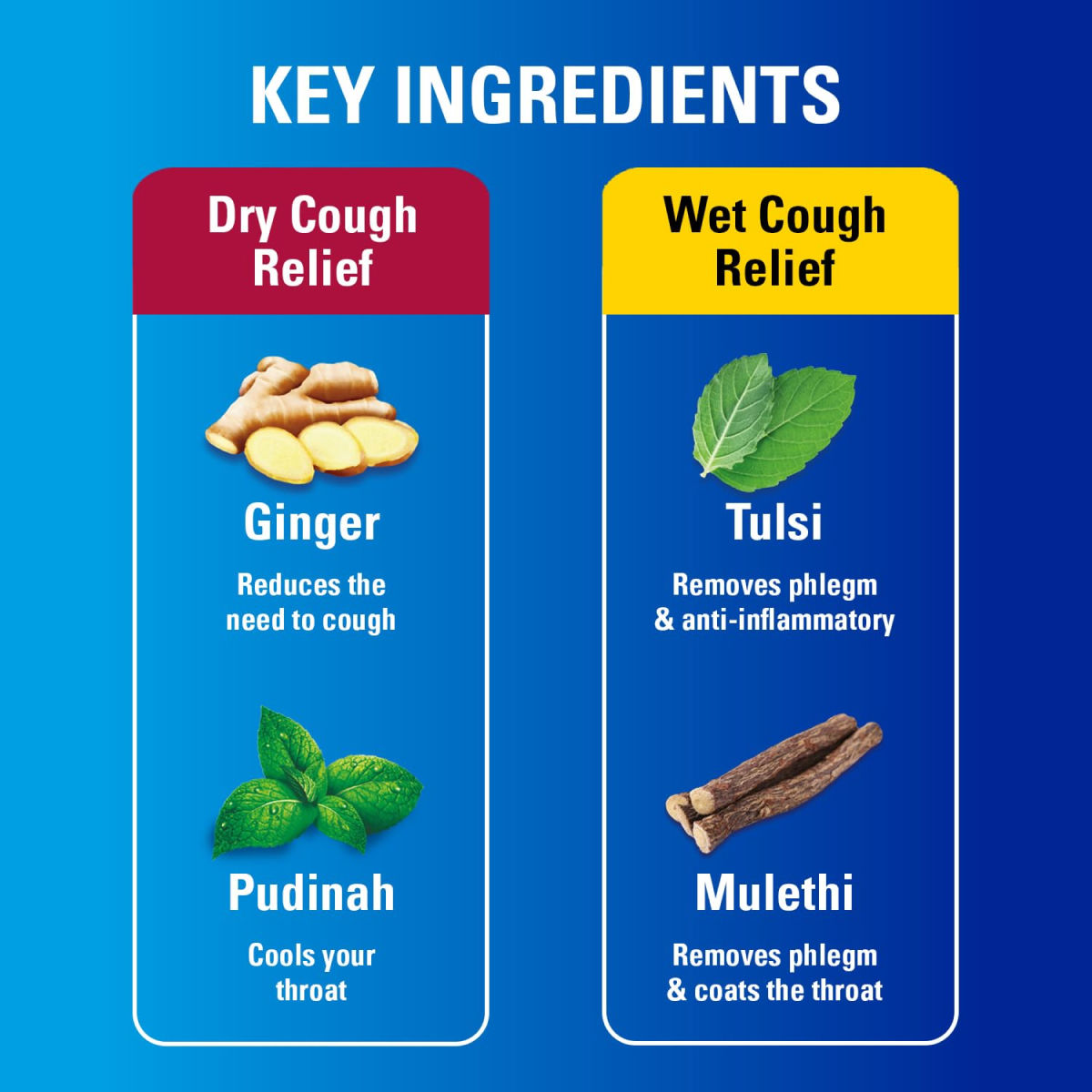 Vicks Cough Syrup, Fast Relief For Dry & Wet Cough, With Tulsi & Ginger