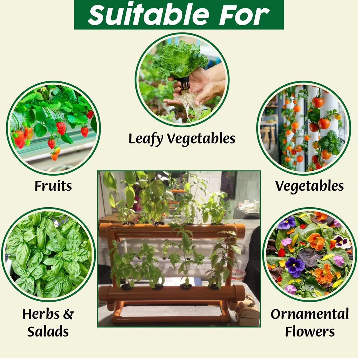 Hydroponic Solid Mixture A & B | Contains NPK for nurturing plants | Makes 200 Ltr fertiliser