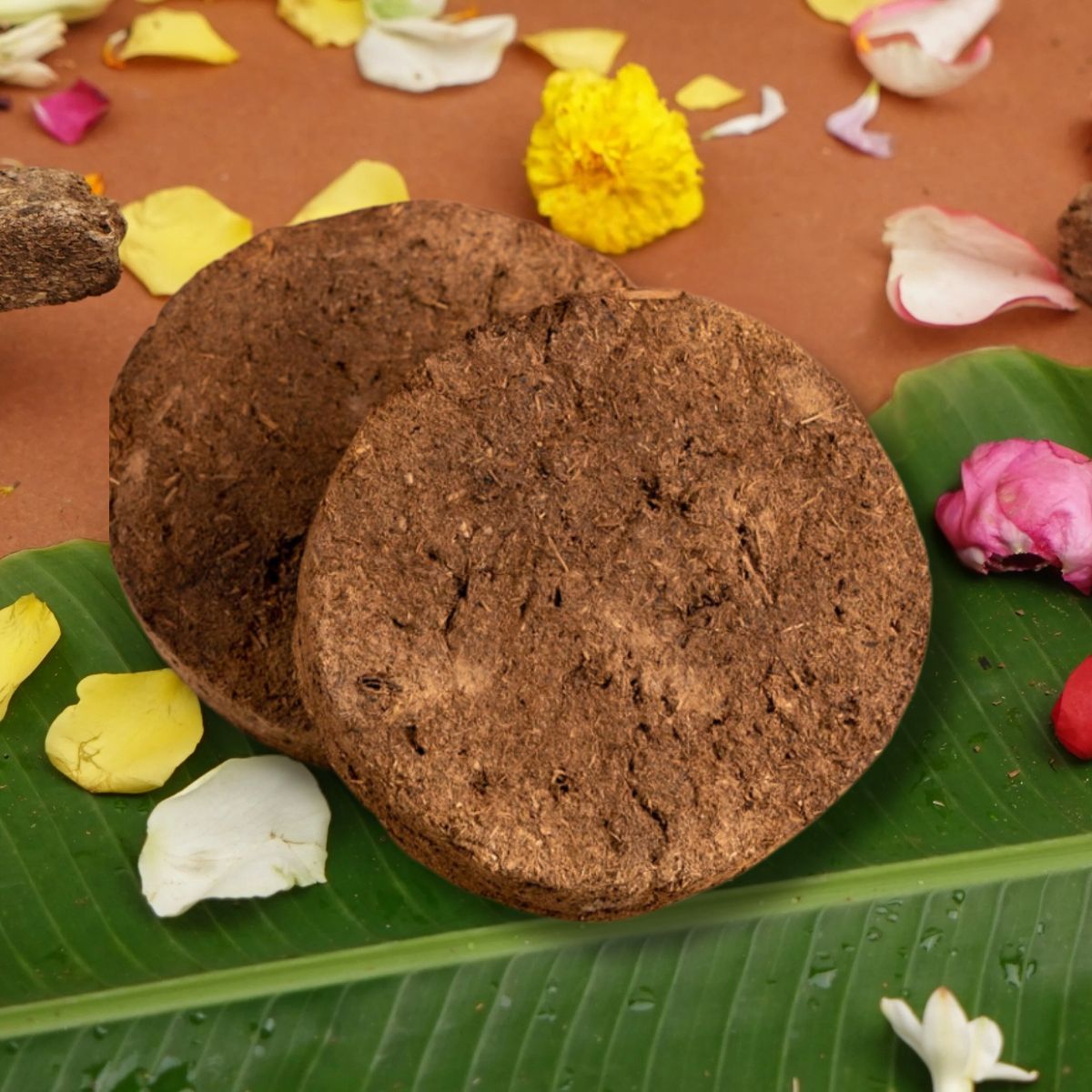 Jai Kashi Cow Dung