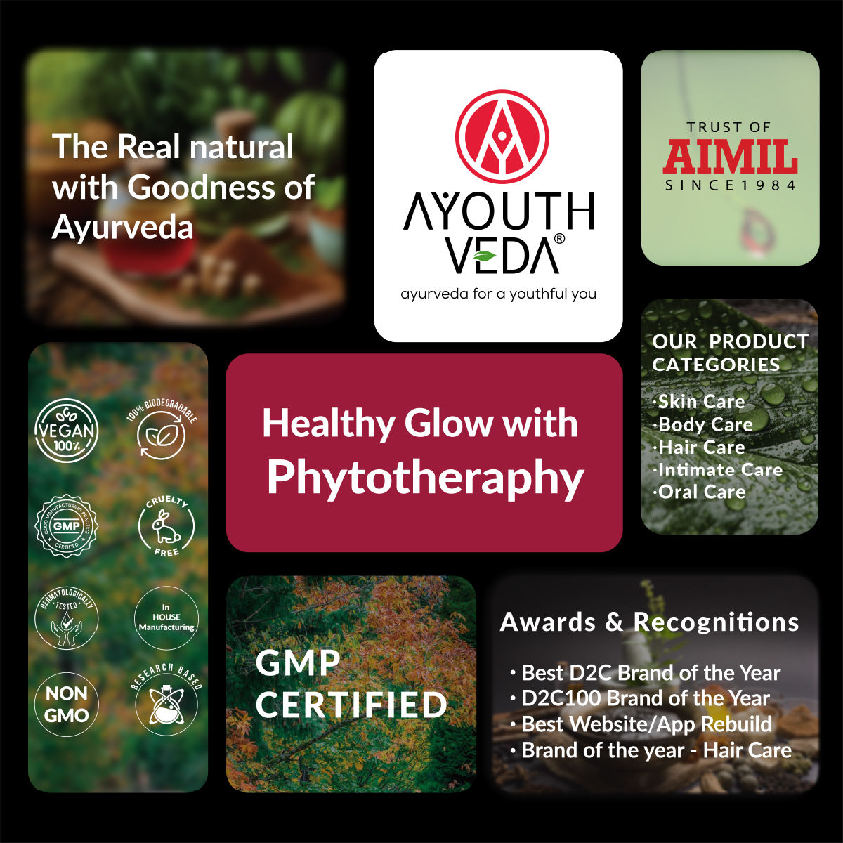 Aimil Ayouthveda Natural Whitening Toothpaste