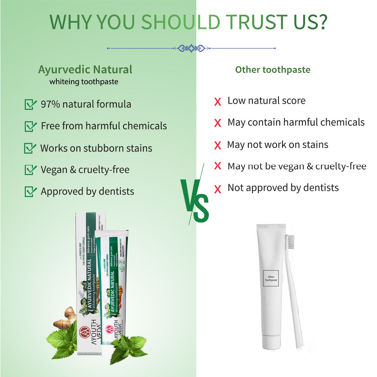 Aimil Ayouthveda Natural Whitening Toothpaste
