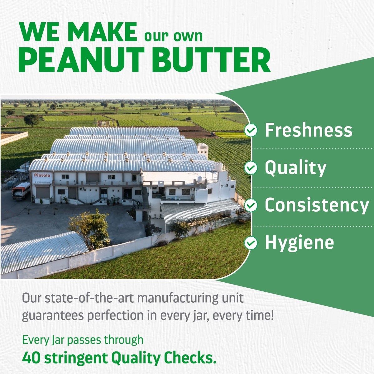 Pintola All Natural Peanut Butter - Crunchy