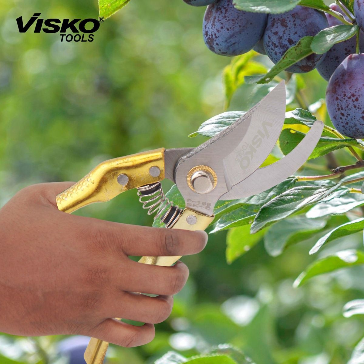 Visko 688 Garden Pruner | 10 Inch Garden Bypass Pruning Shears | Tree Trimmers | Manual