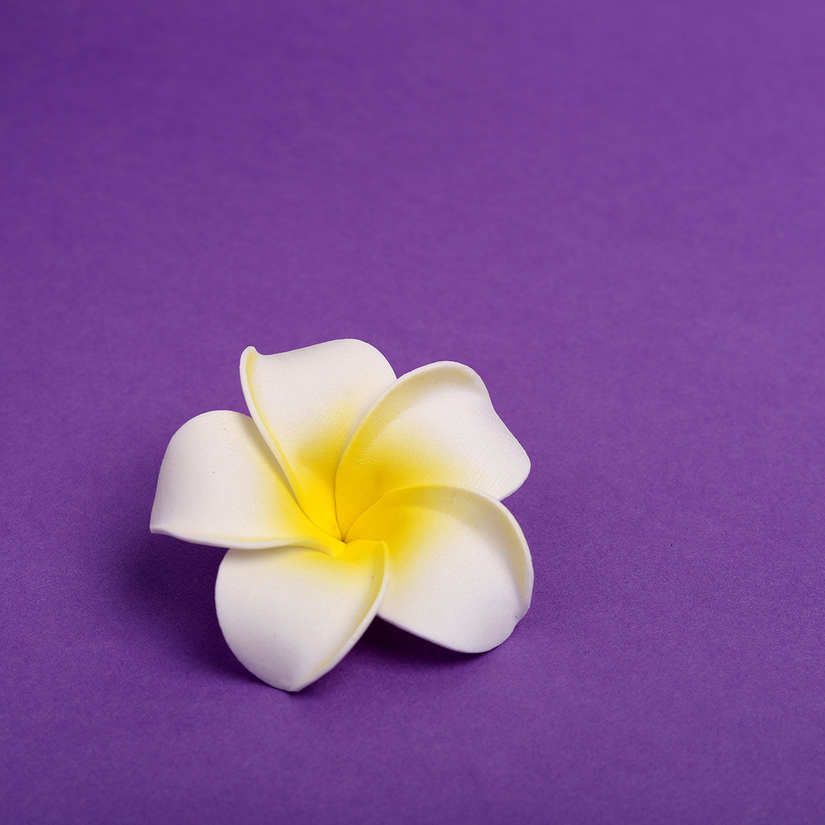 Gullak Floating Frangipani Flower