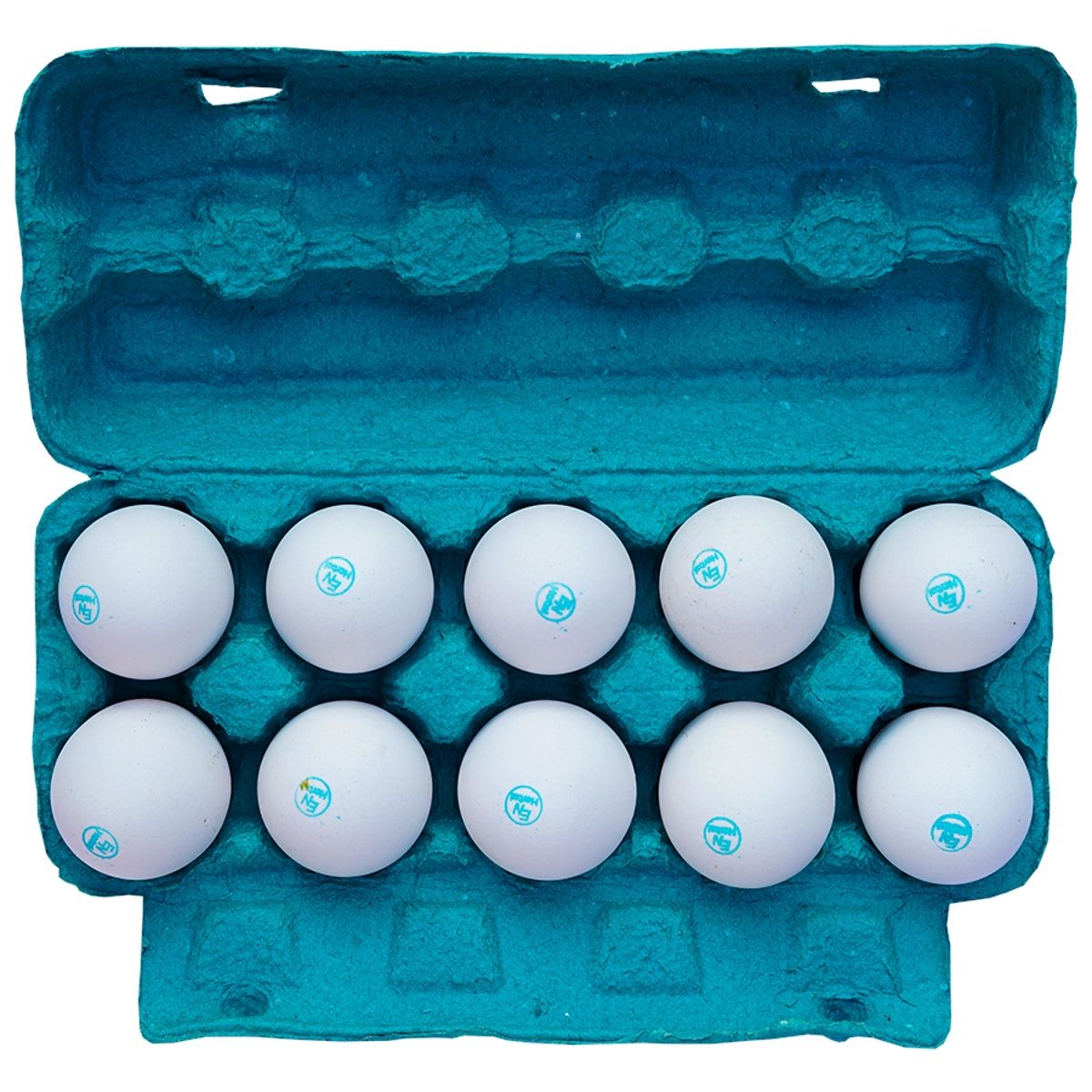 Eggnest 10 Eggs Tray - Herbal Promax O3+